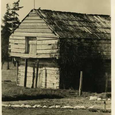 Postcard, Photographic, Photographic
