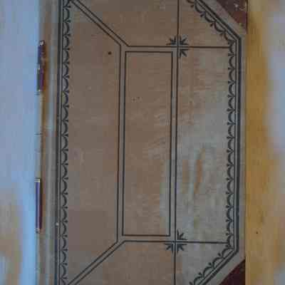 Surveyor's Journal