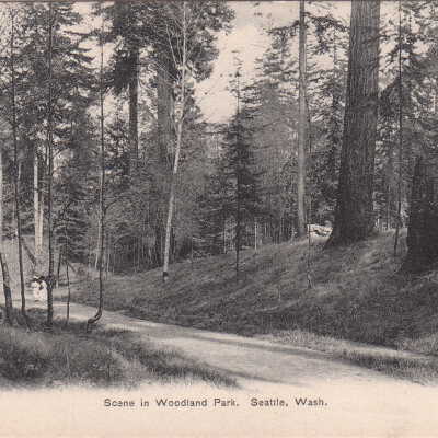 Scene in Woodland Park, Seattle WA