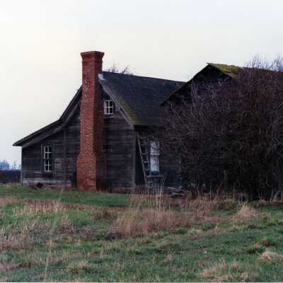 Photograph