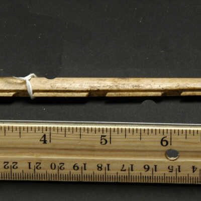 Fishhook