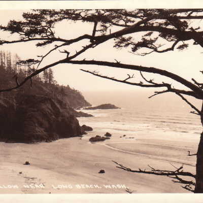Beard's Hollow near Long Beach, Wash