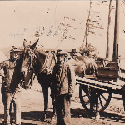 Postcard, Photographic