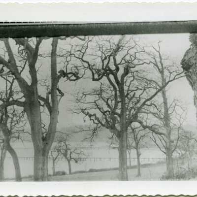 Origformat: Print-Photographic
