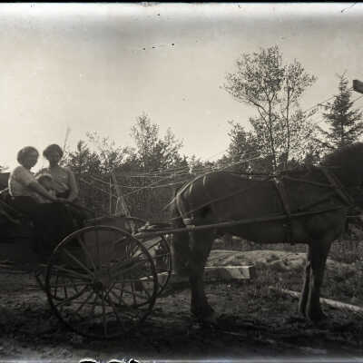 Negative, Glass-plate