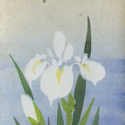 Postcard