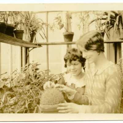 Print, Photographic