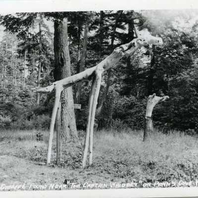 Postcard, Photographic, Photographic