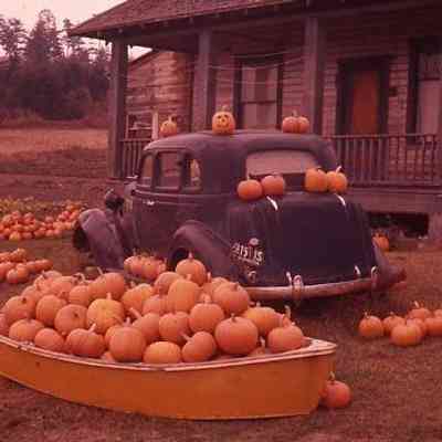 50. Pumpkins on old car and in boat: Ivy Vaughan House - Oct. 1957