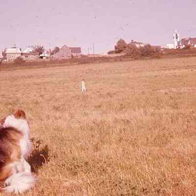 72. West side of Coupeville, church, and houses from across Krueger's Field: Shep (dog) and KJH