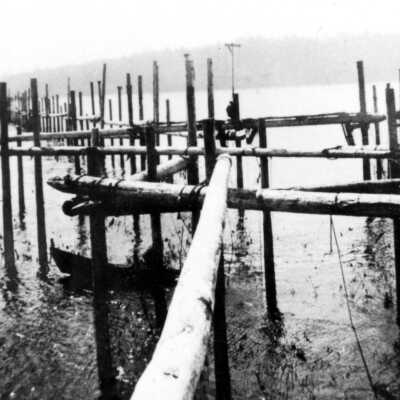 Fish trap