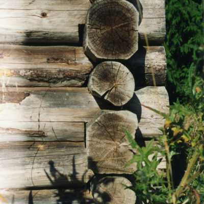 Photograph