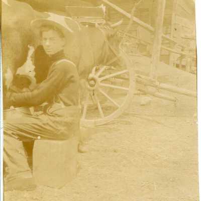 Print, Photographic