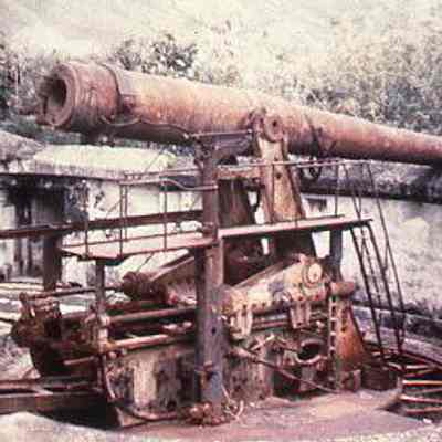 Cannon with Patina