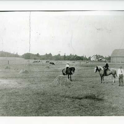 Postcard, Photographic