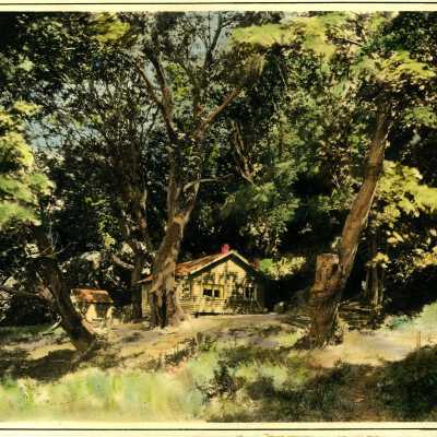 Print, Photographic