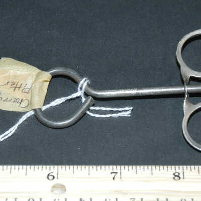 Pitter, Fruit