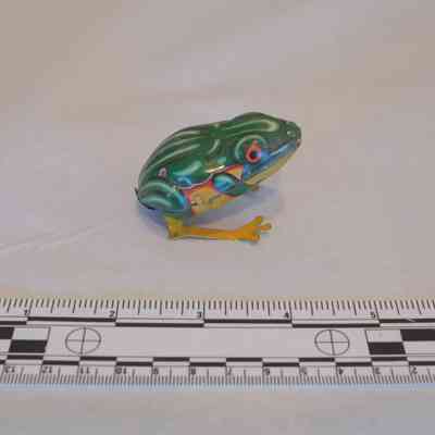 Wind-up Toy Frog