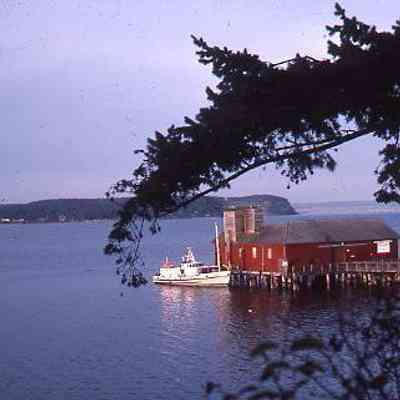 170. Wharf and buildings from the west (grain tower still visible): Wharf - Oct. 1977