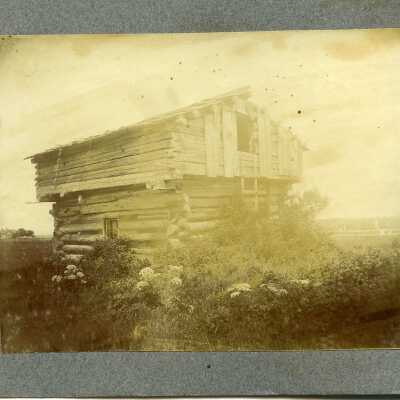 Photograph