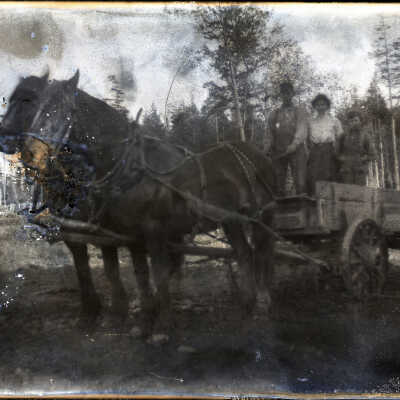 Negative, Glass-plate