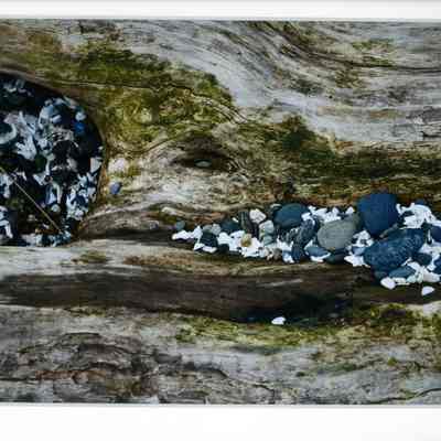 February's Tumbled Collection