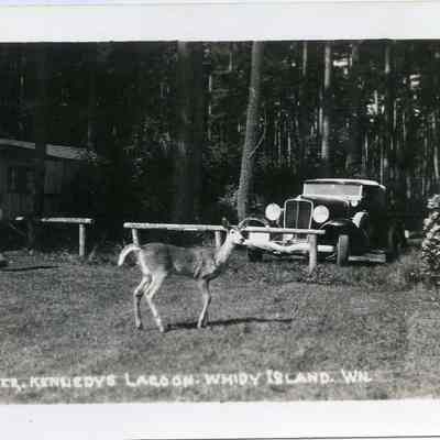 Whidby Island postcard
