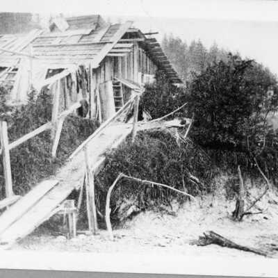 Postcard, Photographic, Photographic