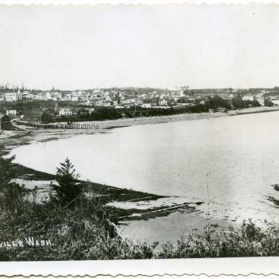 Photograph