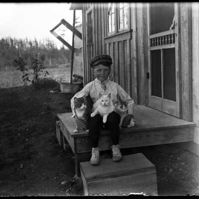 Little boy with cats: Origsize: 4x5; Origformat: Negative
