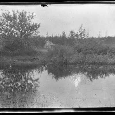 Negative, Film