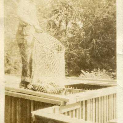 Print, Photographic