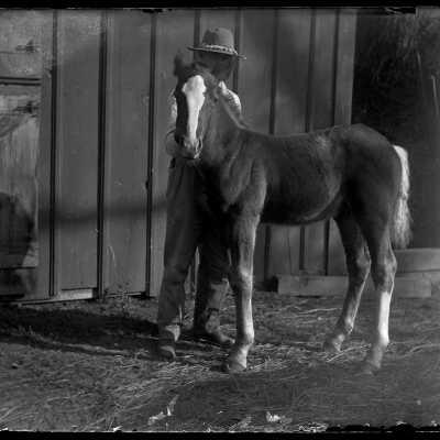 Man with pony: Origsize: 4x5; Origformat: Negative