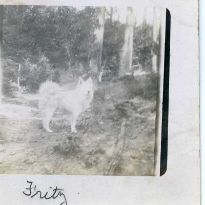 Photograph