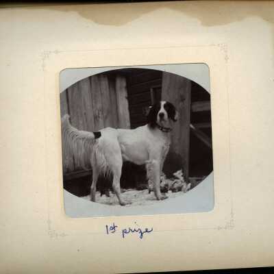 Photograph