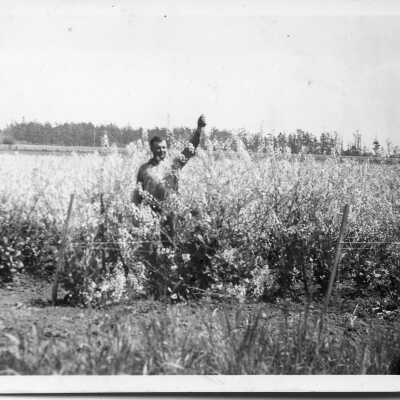 Print, Photographic
