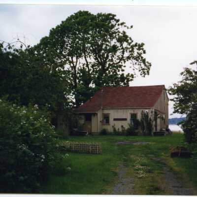 Photograph