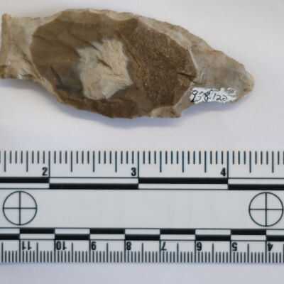 Projectile Point