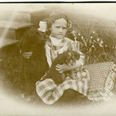 Print, Photographic