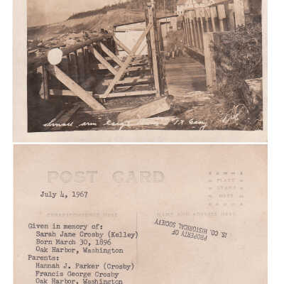 Postcard, Photographic