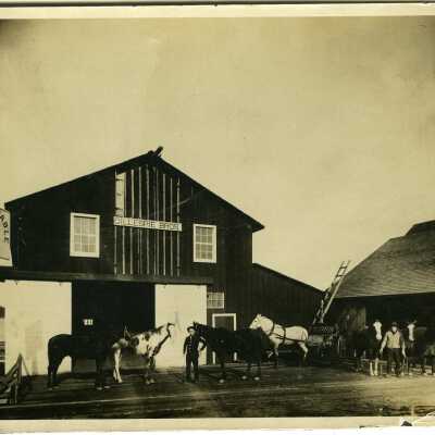 Photograph