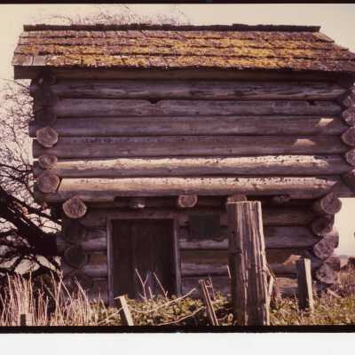 Photograph