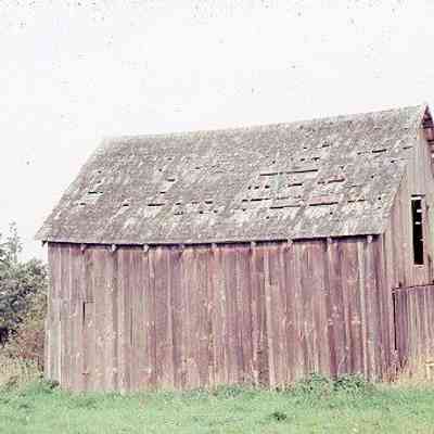 187. Shirley Parker's Barn, behind Todd or Parker House: Oct. 1977