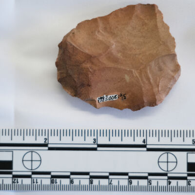 Stone Tool