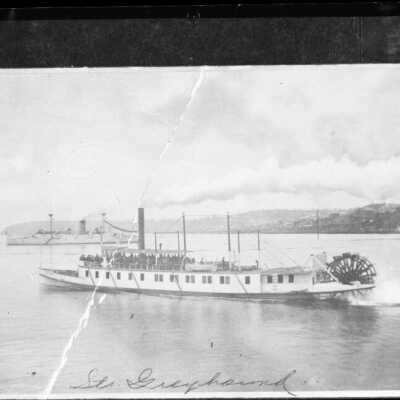 Mosquito Fleet "Greyhound" Negative