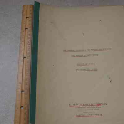 Audit Statement