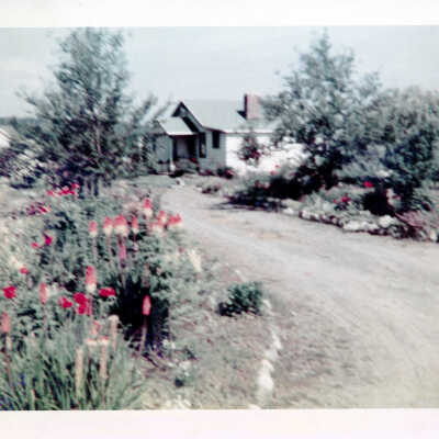 Photograph