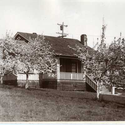 Photograph