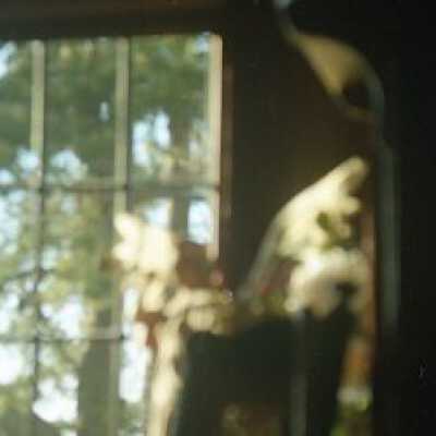 Negative, Film