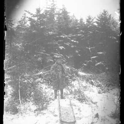 Negative, Glass-plate